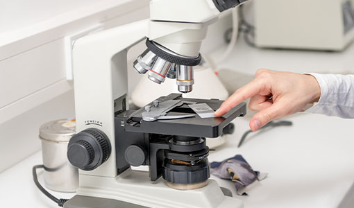 New Launch: Special Staining Kits – Optimized for Consistent Results in Liver, GI, and Bone Marrow Pathology