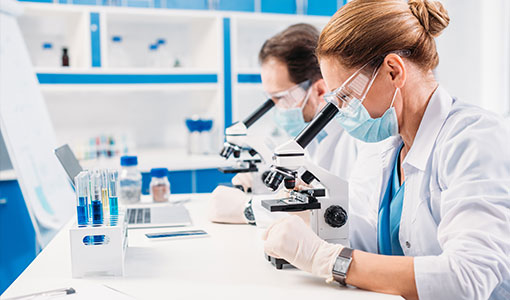 Introducing Our New Anti-IL-6 Antibody for IHC --- See IL-6 at the Cellular Level